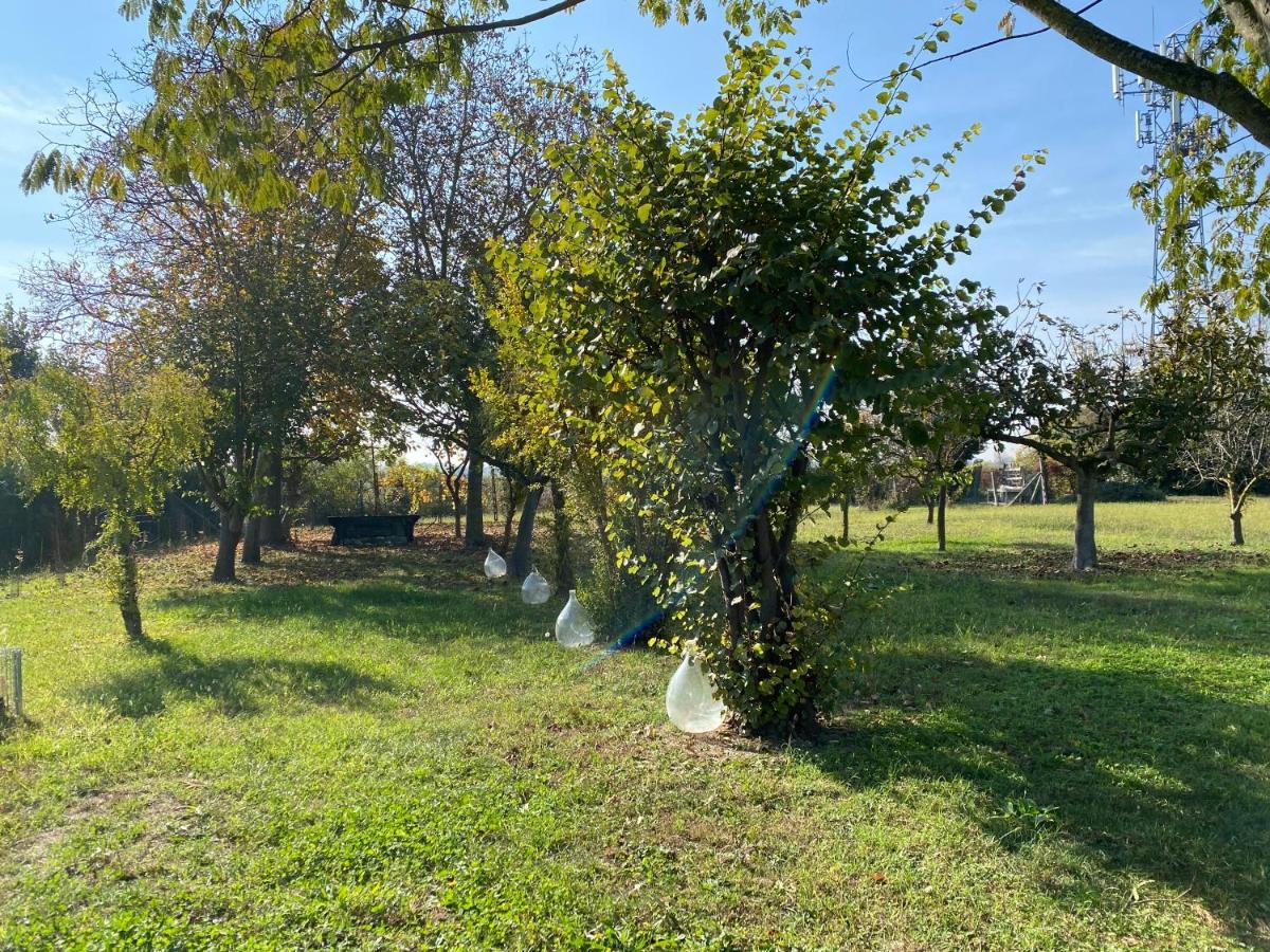 Balabuska Rooms & Garden Codevigo Dış mekan fotoğraf