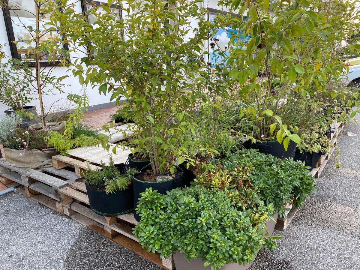 Balabuska Rooms & Garden Codevigo Dış mekan fotoğraf