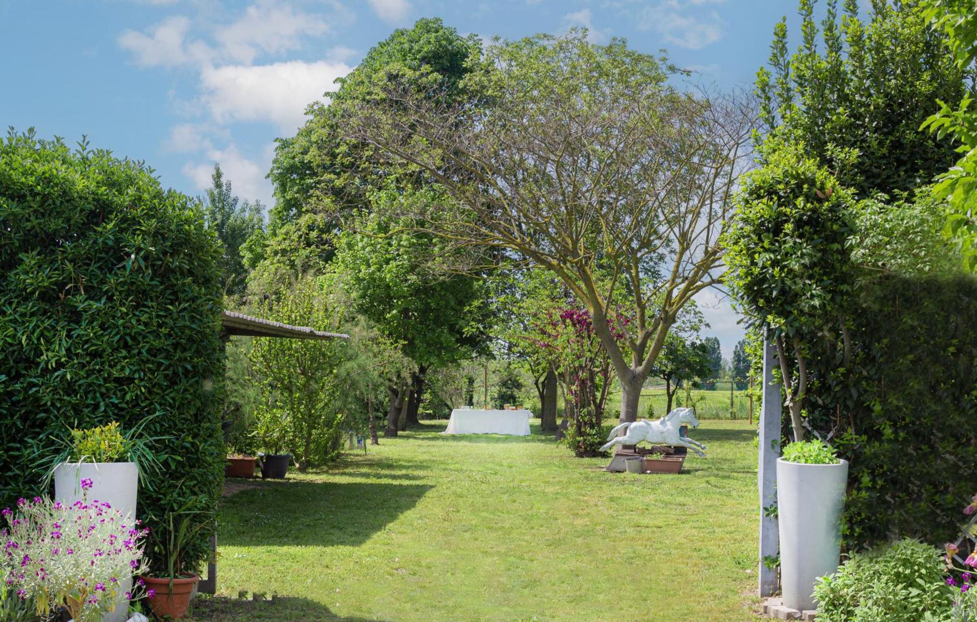 Balabuska Rooms & Garden Codevigo Dış mekan fotoğraf